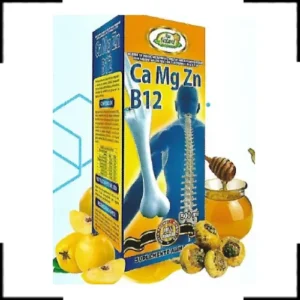 CA-MG-ZN B12